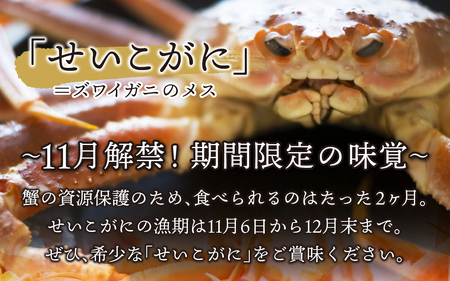 【訳あり】せいこがに 5杯  脚折れ【2025年11月中旬より順次発送】