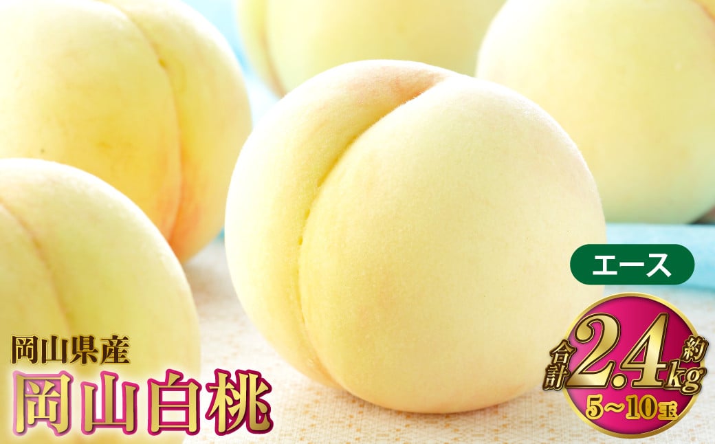 
            岡山白桃 エース 5～10玉 約2.4kg 岡山県産【2026年7月上旬～8月下旬発送予定】 白桃 桃 もも モモ
          