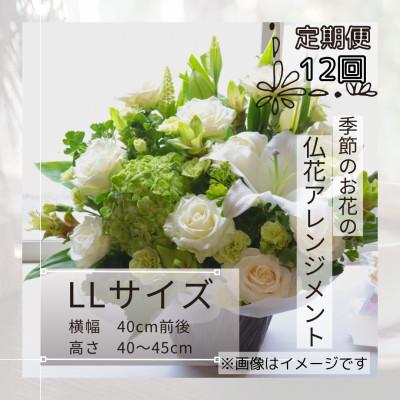 ふるさと納税 筑西市 【毎月定期便】仏花アレンジメント/LLサイズ〜花瓶不要!届いてそのまま飾れるフラワーアレンジ全12回