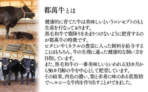 黒毛和牛『都萬牛』特選セット　焼肉500ｇ・スライス300ｇ・ステーキ300ｇ<5-3>