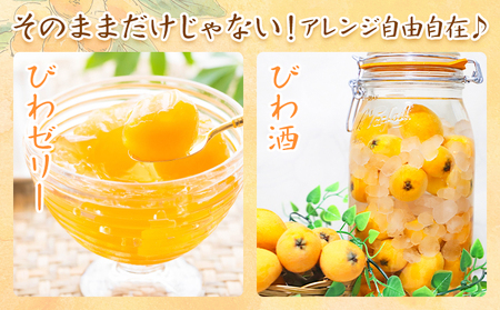 天草産 びわ 6パック 贈答用 高橋商店《5月中旬-6月中旬頃出荷》熊本県 苓北町 フルーツ 枇杷 柑橘 果物【配送不可地域あり】