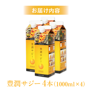 豊潤サジー 1000ml×4本セット サジージュース【紙パックタイプ】 鉄分 果実 飲料