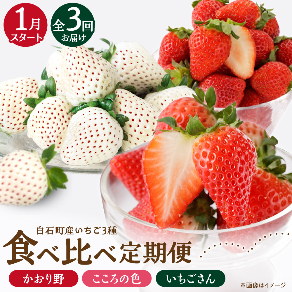 【先行予約 2027年1月～発送】【3回定期便】3種の食べ比べ定期便（1） 【StrawberryFarm-K】 [IBJ030]