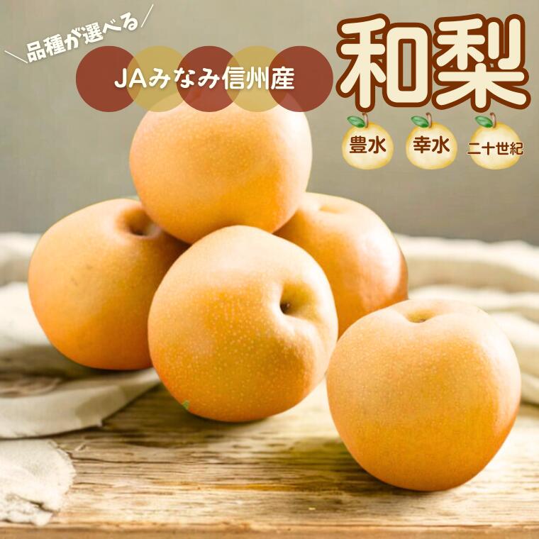 【ふるさと納税】＊2026年度発送＊ 梨 先行予約 幸水・豊水・二十世紀 選べる品種// なし ナシ 長野 和梨 フルーツ ギフト くだもの 果物 新鮮 南水 新甘泉 甘太 糖度センサー 厳選 南信州 長野県 厳選 贈答 JA31