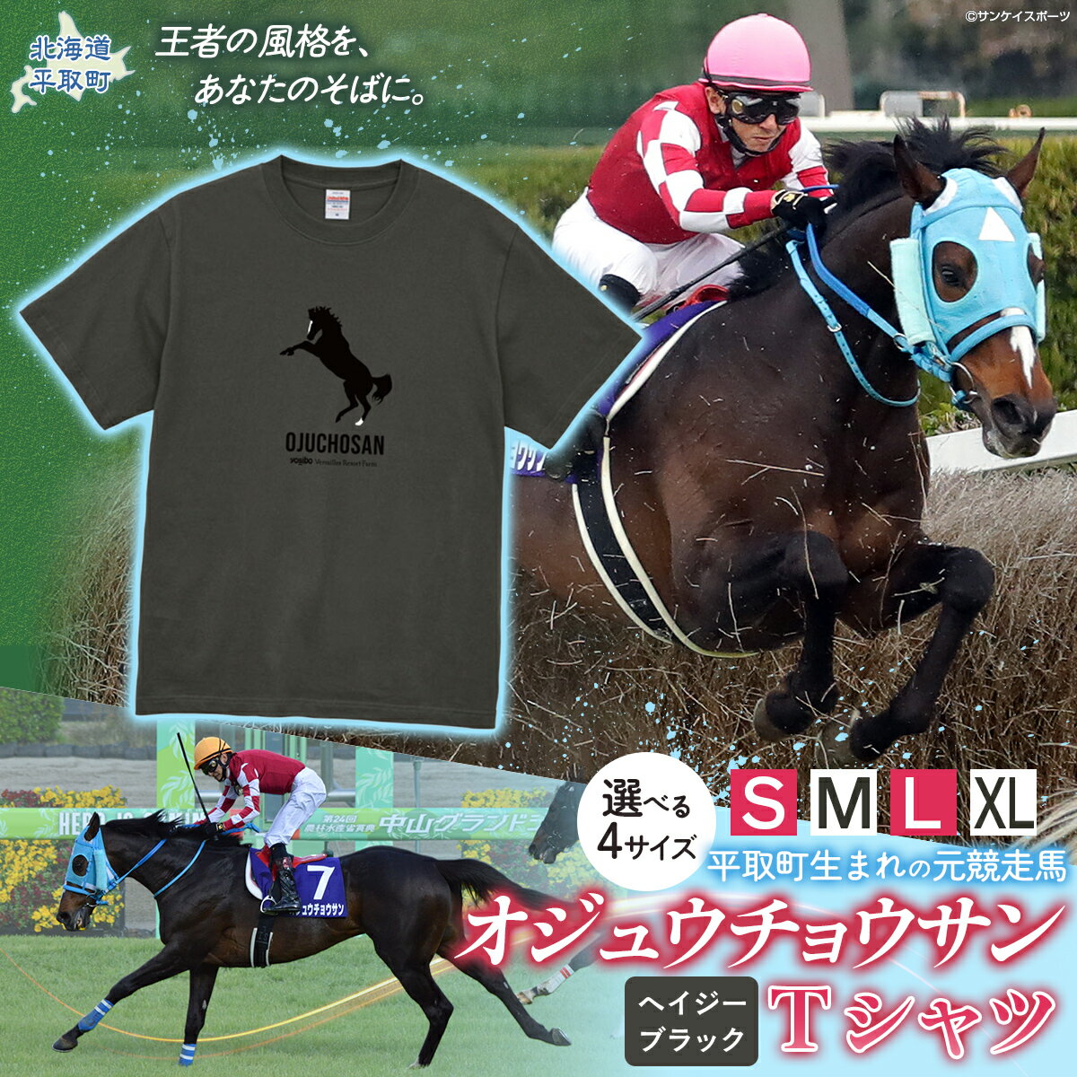 【ふるさと納税】【オジュウチョウサン】Tシャツ 選べる4サイズ【S・М・L・XL】ヘイジーブラック【 ふるさと納税 人気 おすすめ ランキング 馬 競馬 競走馬 引退馬 オジュウチョウサン 北海道 平取町 送料無料 】 BRTV004