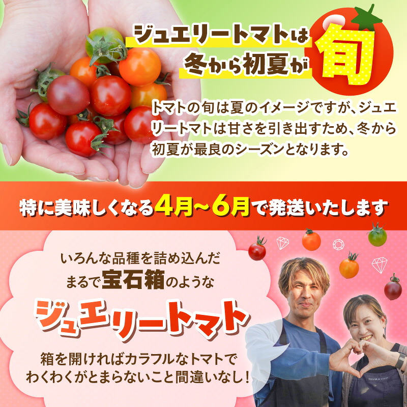 【2027年発送】【お試し】まるでトマトの宝石箱！フルーツジュエリートマト 約800g 長田農園 産地直送 トマト とまと 野菜 やさい フルーツ サラダ 濃厚 甘い ご褒美 プレゼント 美容 健康 