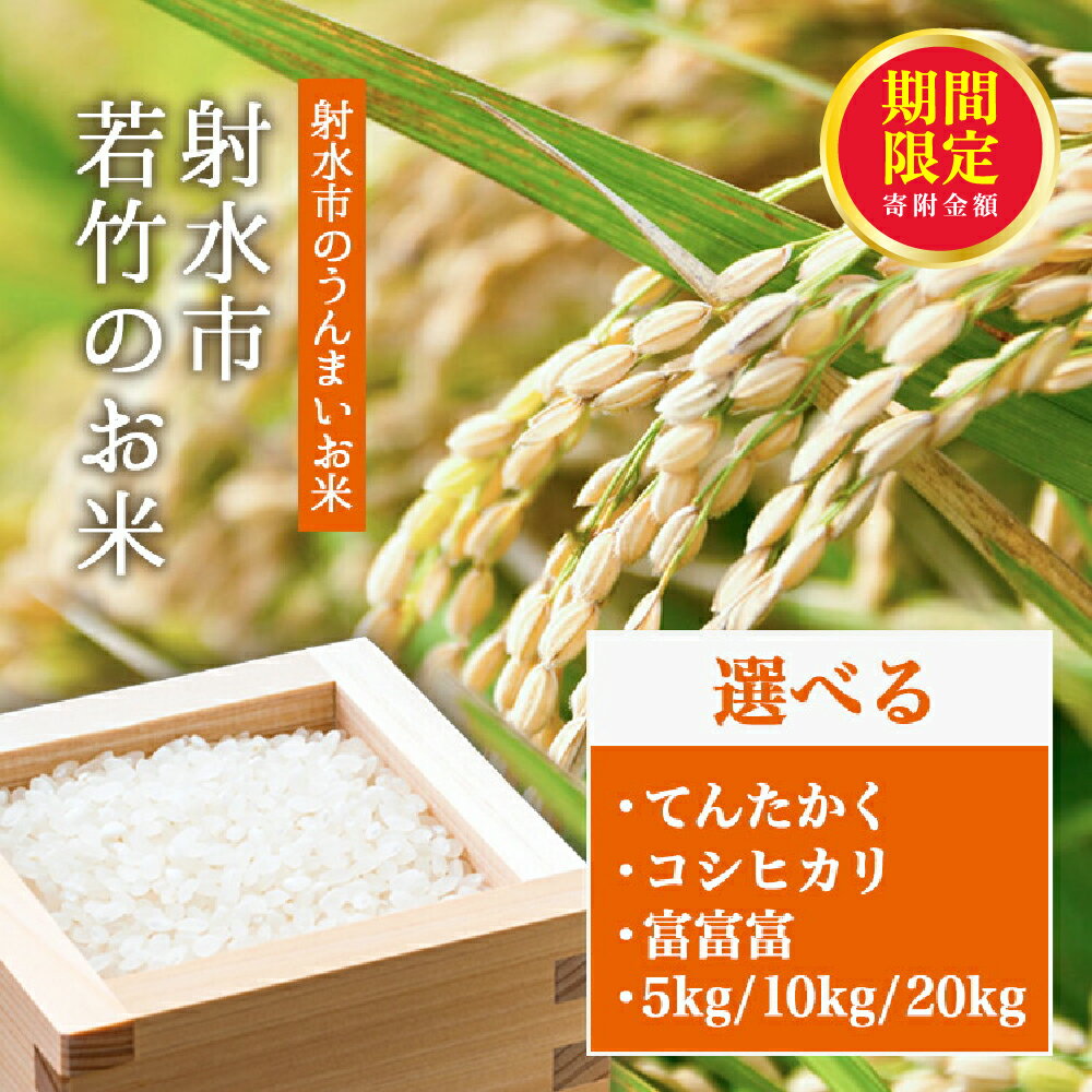【ふるさと納税】＼期間限定寄附額／【R7年度産米 新米予約】人気のブランド米 コシヒカリ 富富富 てんたかく 「若竹のお米」 5kg 10kg 20kg 【精米】｜米 新米 先行予約 令和7年産米 ブランド米 銘柄米 こめ 5キロ 10キロ 20キロ 白米 先行予約 送料無料 富山県 射水市