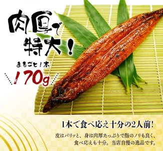 【大型サイズ】ふっくら柔らか 国産うなぎ蒲焼き 2尾【uot302-3】