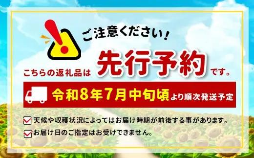 季節の桃 約2kg 5～9玉［ おぶせファーマーズ ］桃 もも モモ ピーチ フルーツ 果物 たまき なつき あかつき 川中島白鳳 なつっこ 川中島白桃 黄金桃 だて白桃 先行予約 長野県産 信州産 