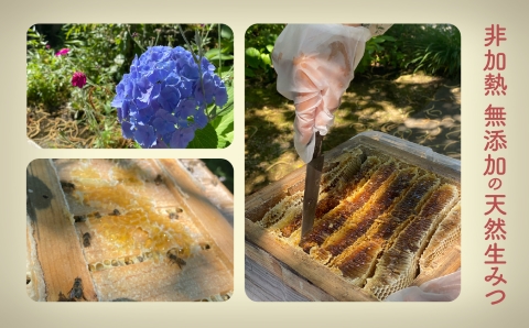 《石川県小松市産》　純粋日本はちみつ　白山ひめみつ　280g×2個