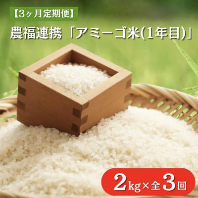 ふるさと納税 大子町 【毎月定期便】アミーゴ米  2kg【白米】(コシヒカリ・天日干し米・1年目)|茨城県 大子町全3回