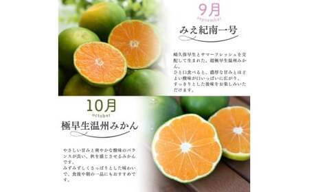 みかん 定期便 4回 計12kg【超極早生温州・極早生温州・由良早生・早生温州】みかん【nkmr-tkb0003】