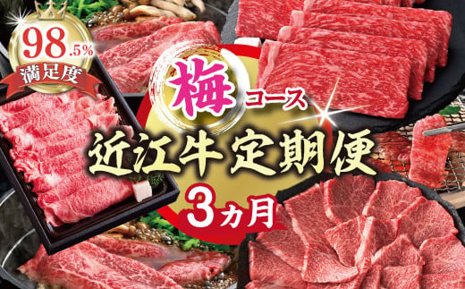 【期間限定】特選近江牛定期便（３カ月）梅コース（近江牛マスター中級編）【ZZ46U】