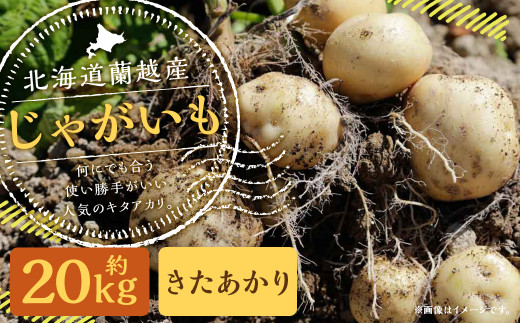 北海道 蘭越産 じゃがいも（きたあかり） 約20kg 【2026年11月上旬~2027年4月上旬発送予定】  野菜 キタアカリ ポテト 農作物 料理 常温 蘭越町産 北海道産 国産 北海道 蘭越町