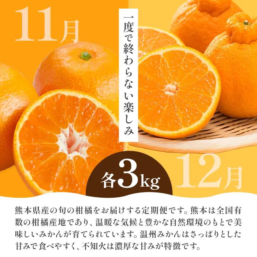 2ヶ月定期便 2種の柑橘 計6㎏ 日本フルーツ株式会社