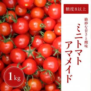 ミニトマト １kg 糖度８以上 アマメイド 野菜（EW001-SJ）