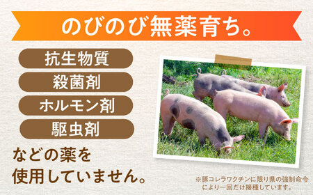 【3回定期便】あんしん豚 特上しゃぶしゃぶセット 豚肉 ロース 国産 白川町 / 藤井ファーム[AWAF010]