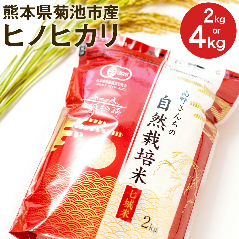 【ふるさと納税】熊本県菊池産 ヒノヒカリ 白米 選べる 内容量2kg or 4kg 令和7年産 七城物語 高野さんちの自然栽培米 精米 米 お米 自然栽培米 特A 国産 九州産 熊本県産 送料無料 《30日以内に出荷予定(土日祝除く)》