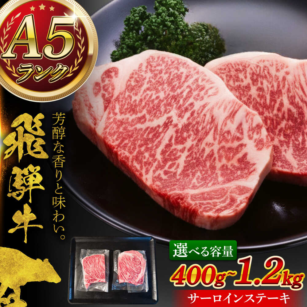 【ふるさと納税】【選べる容量】A5等級 飛騨牛 サーロインステーキ 瑞浪市 / マルチョウ渡辺精肉店 牛肉 和牛 国産 ギフト お取り寄せ [AZCW015]