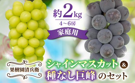 先行受付2025年発送！ご家庭用シャインマスカットと種無し巨峰の詰め合わせ　約2kg（4〜6房）｜果樹園清兵衛　巨峰シャインマスカット種無し巨峰シャインマスカットシャインマスカット巨峰シャインマスカット巨峰