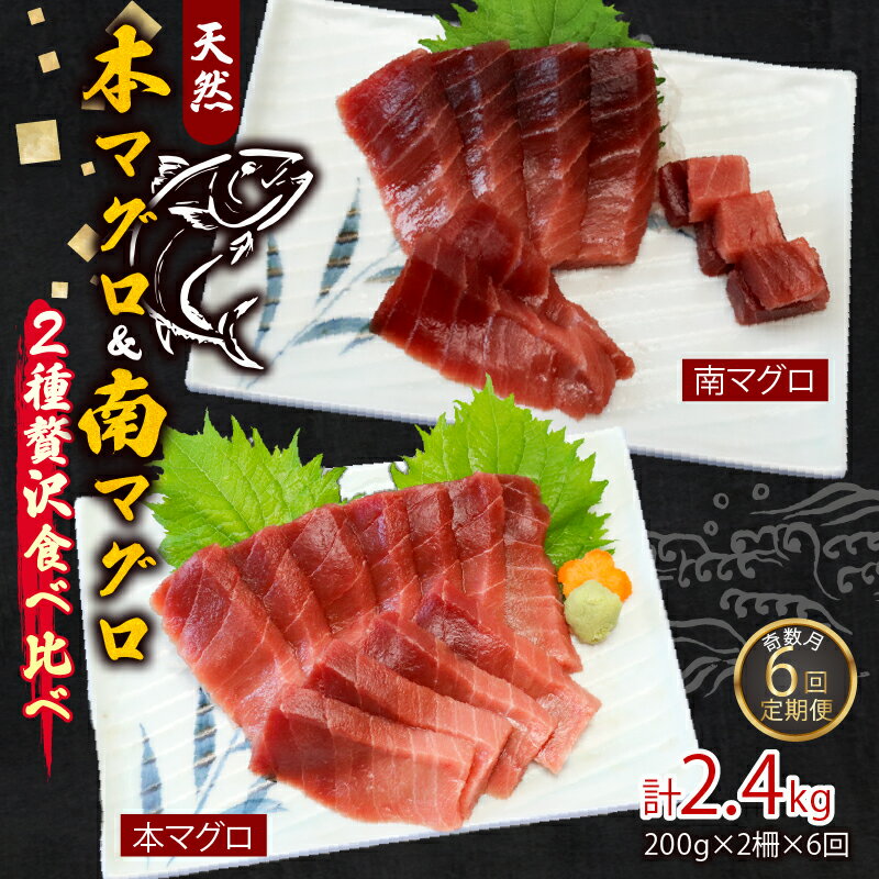 【ふるさと納税】 【6回定期便】 天然本マグロ　天然南マグロ　中トロ　各1柵　奇数月にお届け 刺身 漬け丼 海鮮丼 マグロ丼 ちらし寿司 鮪 まぐろ ネギトロ丼 魚介 惣菜 冷凍 送料無料 海鮮 冷凍 さしみ 高知 室戸 マグロ 寿司 高級＜eb017＞