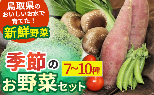
                  季節のお野菜セット（7〜10種）  野菜 やさい 国産野菜 野菜便 野菜詰め合わせ 季節野菜 フレッシュ野菜 旬の野菜  鳥取県産品
                