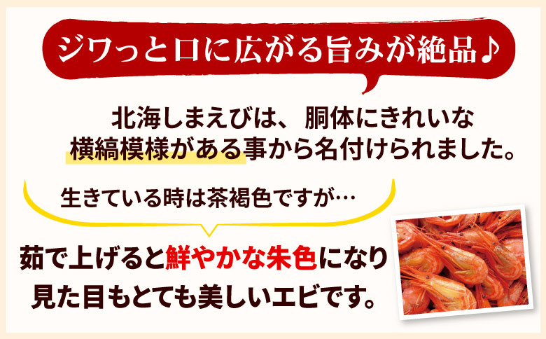 <年内配送可>【北海道根室産】北海シマエビ800g(80～130尾) A-56014