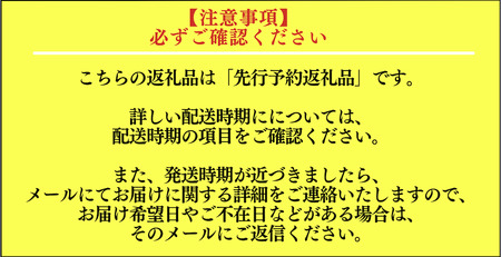 伊勢海老セット[Ｂ]　【 伊勢海老 伊勢海老 伊勢海老 伊勢海老 伊勢海老 伊勢海老 】