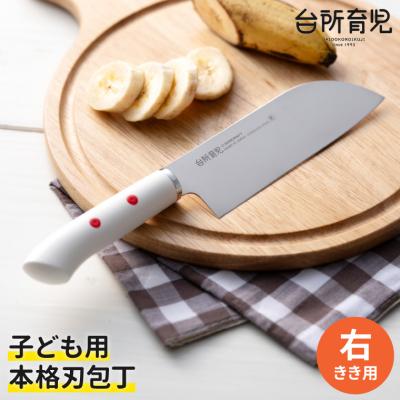 ふるさと納税 関市 H8-138 子ども用包丁 【右利き】(DI-101) 〜台所育児 誕生日プレゼント 進級祝い 入学 | 