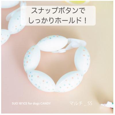 ふるさと納税 神戸市 SUO 18°ICE for dogs CANDY　SSサイズ(マルチ)