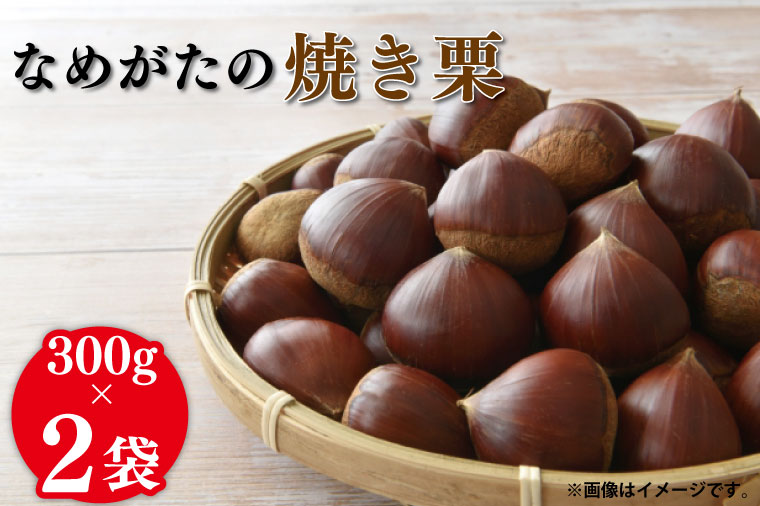 CS-5　【期間限定】【2025年10月中旬より順次発送】なめがたの焼き栗(300g×2袋)｜栗 焼き栗 焼栗 くり クリ 熟成 真空 真空パック 先行予約 茨城県 行方市(CS-5)