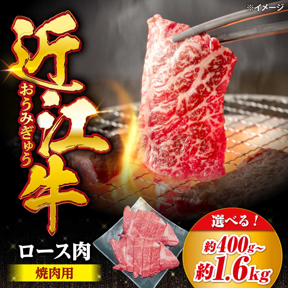 【ふるさと納税】【選べる容量】近江牛焼肉ロース 400g～1.6kg 滋賀県長浜市/有限会社旭ミイト[AQDB023]肉 牛肉 近江牛 ロース 焼肉 バーベキュー BBQ 国産 冷凍 定期便 焼き肉 ブランド牛 黒毛和牛 ギフト 人気 おすすめ 和牛 ビーフ 国産牛