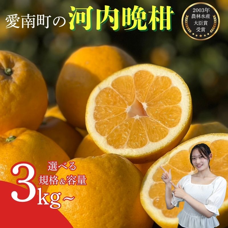 吉本農園の木取り完熟愛南ゴールド 河内晩柑 5kg  訳あり