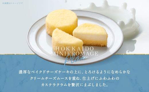北海道ミニフロマージュ （プレーン） 約300g（50g×6個入）×3個 合計約900g ミニフロマージュ フロマージュ チーズケーキ ケーキ スイーツ 洋菓子 冷凍 北海道 小樽市