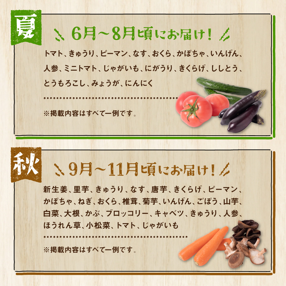 【2ヶ月に1回お届け】【定期便3回】八代市産！旬の農産物詰合せ 復興 福袋 7品以上 野菜 果実 果物 やさい くだもの フルーツ 合計7品目以上 セット 季節の野菜 季節の果実  春 夏 秋 冬 旬