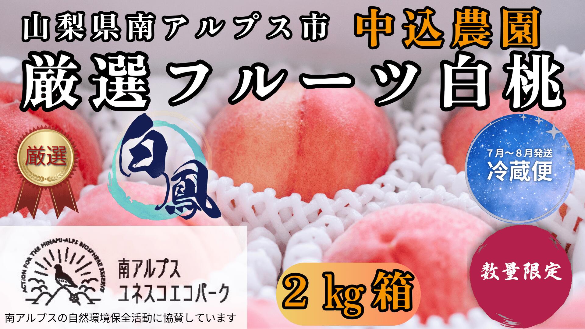 【ふるさと納税】＜2026年発送先行予約＞ 山梨県南アルプス市産 厳選桃 (白鳳) 2kg 山梨県南アルプス市産 ふるさと納税 桃 もも 果物 フルーツ おすすめ 山梨県 南アルプス市 送料無料 ALPEM008