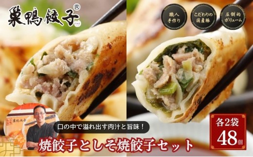 
            巣鴨餃子 焼餃子としそ焼餃子 の組み合わせ 各2袋 48個 餃子 ぎょうざ ギョーザ セット 食べ比べ 冷凍 焼き餃子 おかず おつまみ お取り寄せ 豊島区 東京都
          