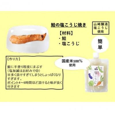 ふるさと納税 小千谷市 山崎醸造 野菜がおいしくなる塩こうじ (250g×6個入) 塩麹 万能調味料 新潟県 小千谷市 |  | 03