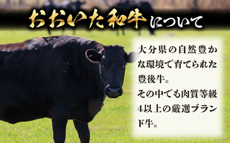 厳選「おおいた和牛」100%使用贅沢な生ハンバーグ(160g×5個) 日田市 おおいた和牛 牛肉 ハンバーグ [ARFE003]