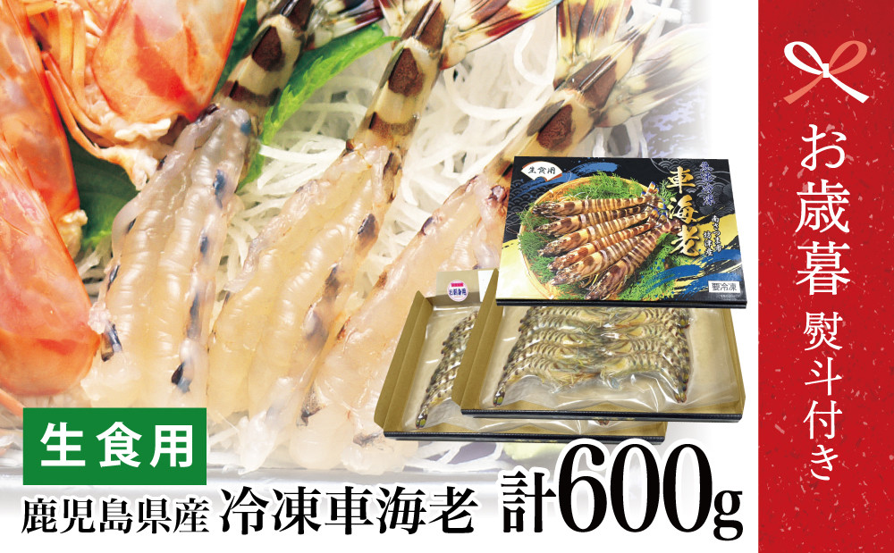 
                  【お歳暮ギフト】鹿児島県産 活〆 冷凍車海老 600g（生食用） えび クルマエビ 車えび 海鮮 海産物 刺身 寿司 天ぷら 塩焼き エビフライ 急速冷凍 冷凍 鹿児島 坊津 南さつま市 お歳暮 のし対応 熨斗
                