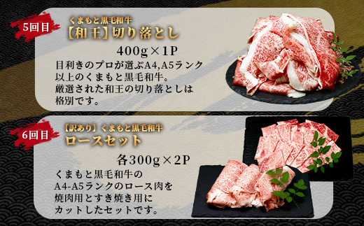 【定期便6回】くまもと黒毛和牛 味わい定期便～合計 3kg 《 黒毛 和牛 ロース 焼き肉 すき焼き 切り落とし 赤身 スライス 和王 》 肉 すき焼き 焼肉 霜降り 上質 ブランド牛 国産 牛肉 冷