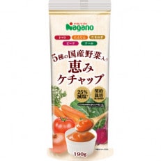 ナガノトマトの5種の国産野入り　恵みケチャップ190g×15本