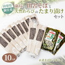 【ふるさと納税】新庄の田舎そば10人前・天然わらびのたまり漬けセット 乾麺 蕎麦 山菜 ざるそば ソバ 乾めん 麺類 年越し 小分け わらび 蕨 野菜 東北 F3S-1587