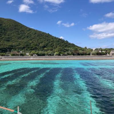 ふるさと納税 伊平屋村 【海産物きむらや】沖縄県伊平屋島産の味付もずく24パック(1ヶ:60g×3パック)×8ヶ |  | 02