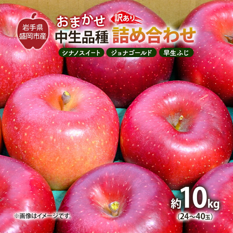 【ふるさと納税】【10月から発送】 りんご 盛岡から「農で人をつなぐ」藤与果樹園：《 訳あり 》おまかせ中生品種詰め合わせ（ シナノスイート ジョナゴールド 早生ふじ ）約10kg 24～40玉 玉数指定不可 詰め合わせ 岩手 盛岡　お届け：2025年9月25日～2025年11月15日