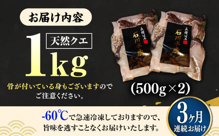 【全3回定期便】【 対馬産 】 天然 クエ 1kg（500g×2）（身のみ）《対馬市》【石川水産】 鍋 水炊き 鮮度抜群 海鮮 クエ 天然クエ[WAB024]