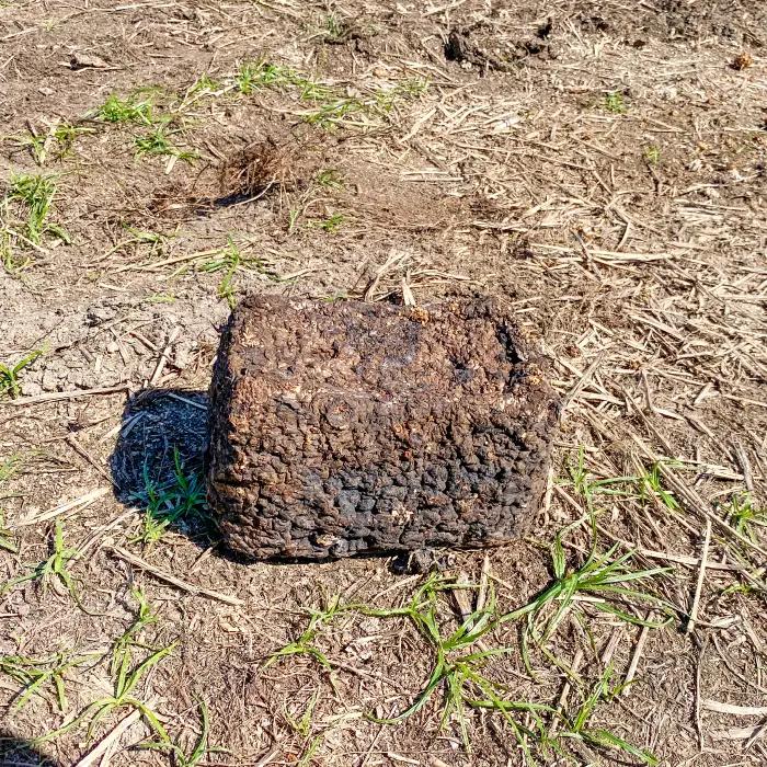 家庭菜園やカブトムシ・クワガタムシのマットに。廃菌床12個入り【サステナブル 家庭菜園 土壌 再利用 廃菌床】