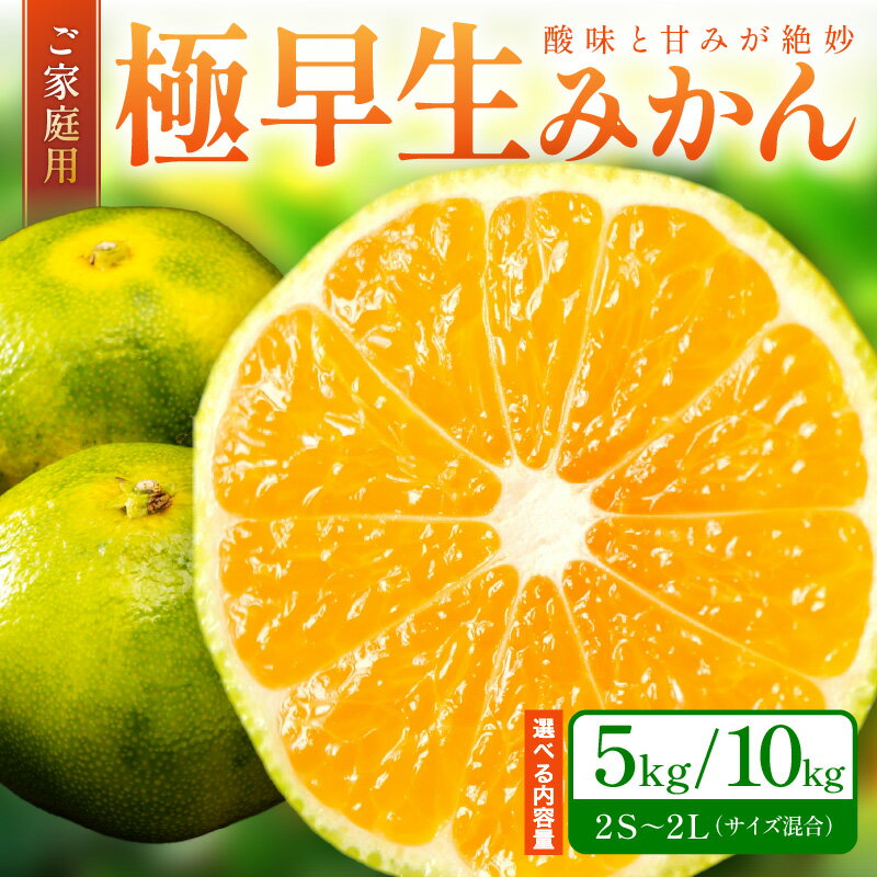【ふるさと納税】極早生みかん(ご家庭用） 5kg 10kg 和歌山産 《先行予約》 みかん ふるさと納税 みかん 甘い 和歌山 ミカン フルーツ 果物 くだもの 柑橘 人気 5キロ 10キロ 数量限定 期間限定 送料無料