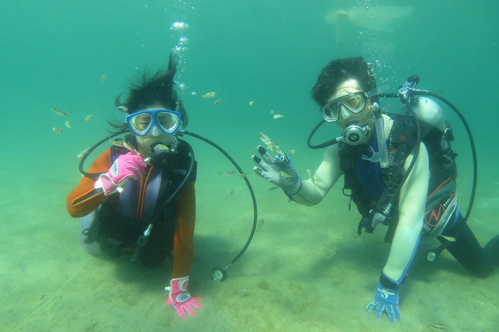 【なまはげの海でダイビング！！】 海洋体験ビーチダイビング 2名様 秋田県 男鹿半島 男鹿市