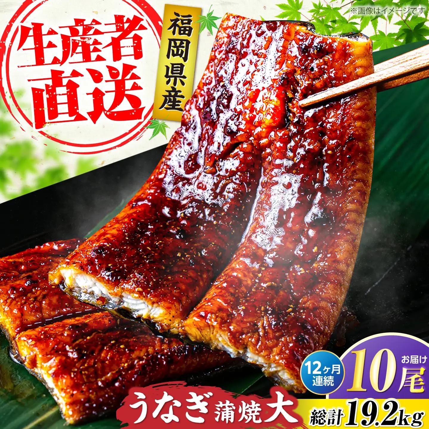 【全12回定期便】福岡県産 うなぎ 蒲焼 大12尾 VAD029 うなぎ